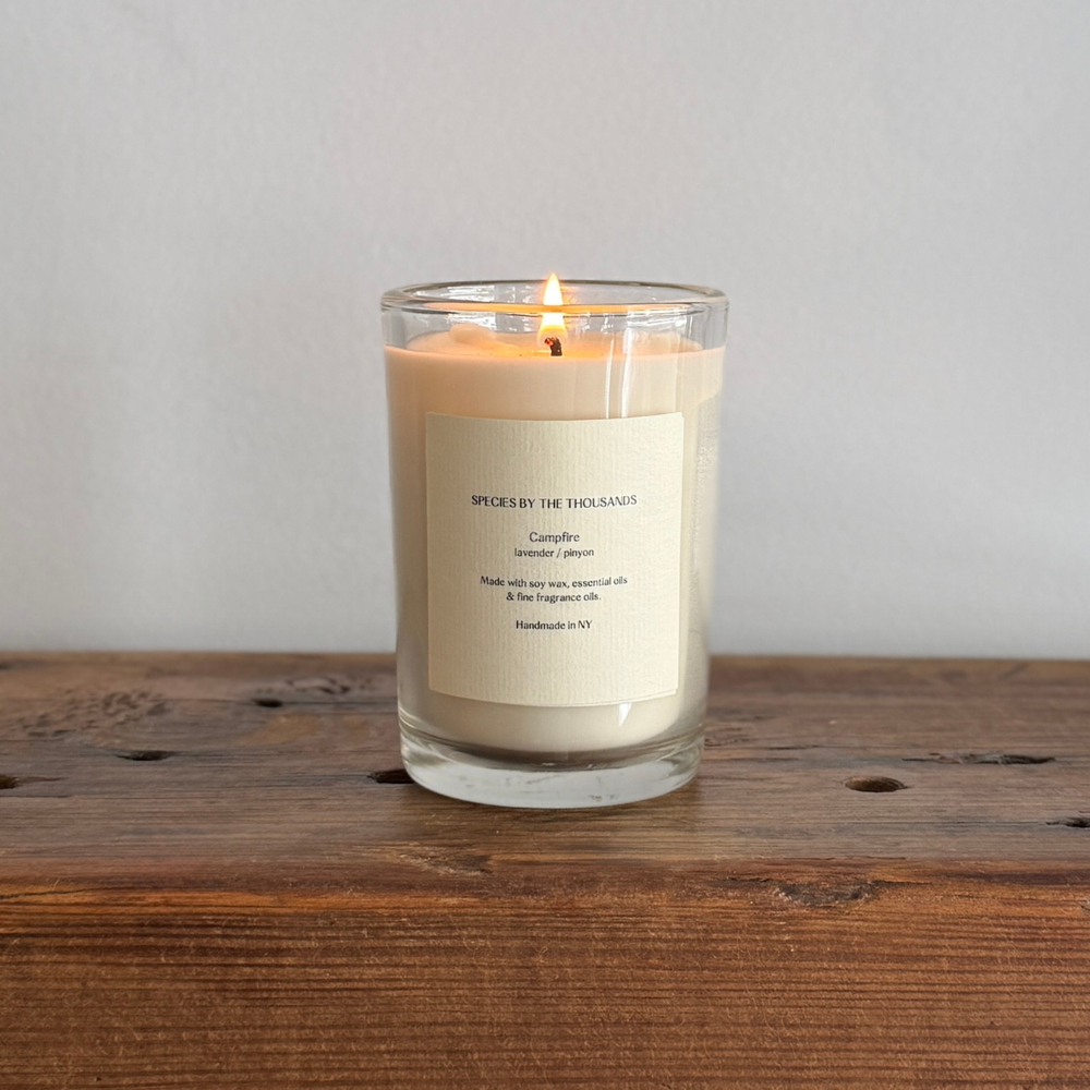 Handcrafted Scented Soy Candle: Campfire, Pinyon + Lavender