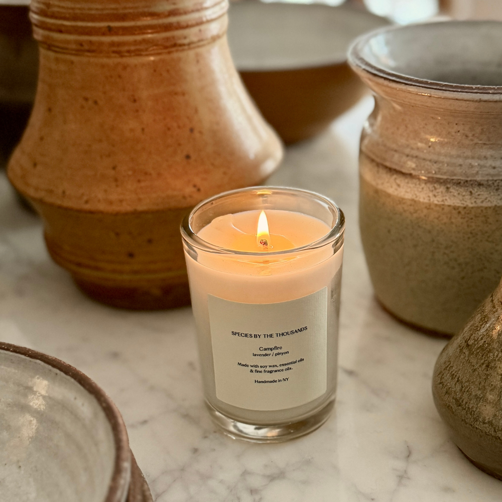 Handcrafted Scented Soy Candle: Campfire, Pinyon + Lavender