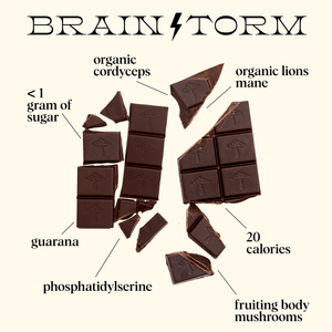 Brainstorm — Mushroom Chocolate