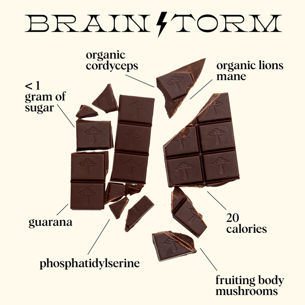 Brainstorm — Mushroom Chocolate
