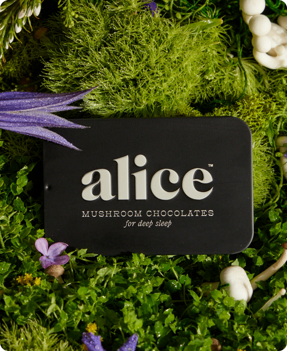 Nightcap — Mushroom Chocolate