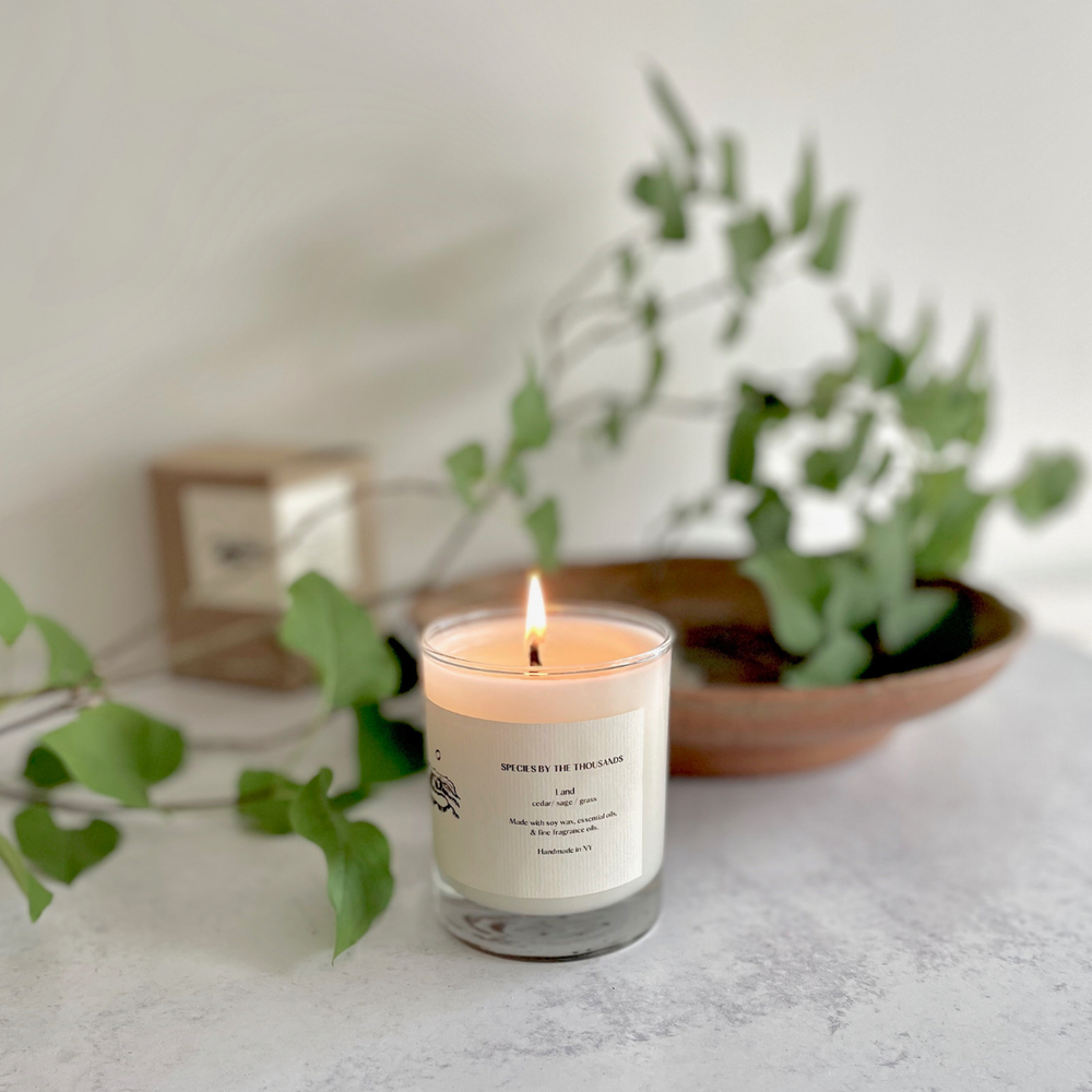 'Land' Soy Candle: Cedar, Sage, and Grass