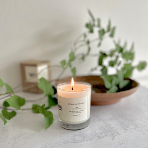 'Land' Soy Candle: Cedar, Sage, and Grass