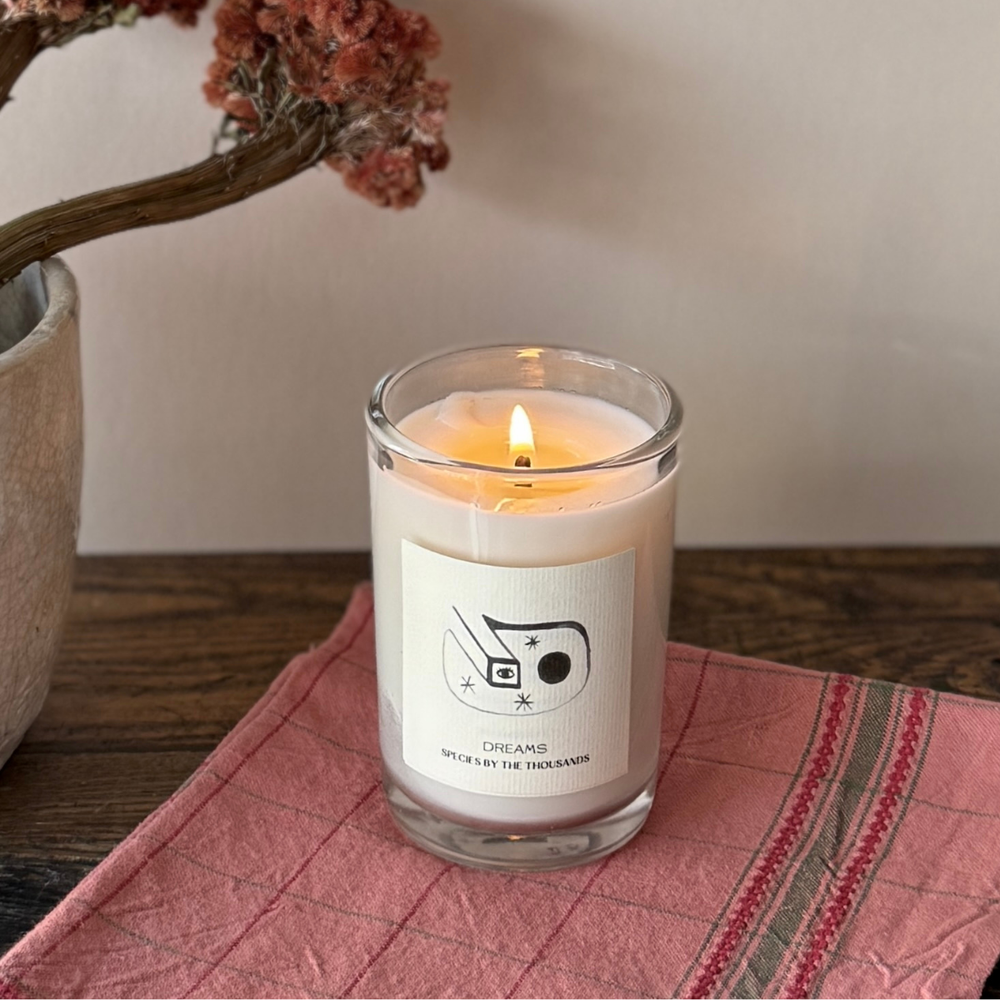 'Dreams' Handcrafted Scented Soy Candle: Sandalwood, Rose, Cedar