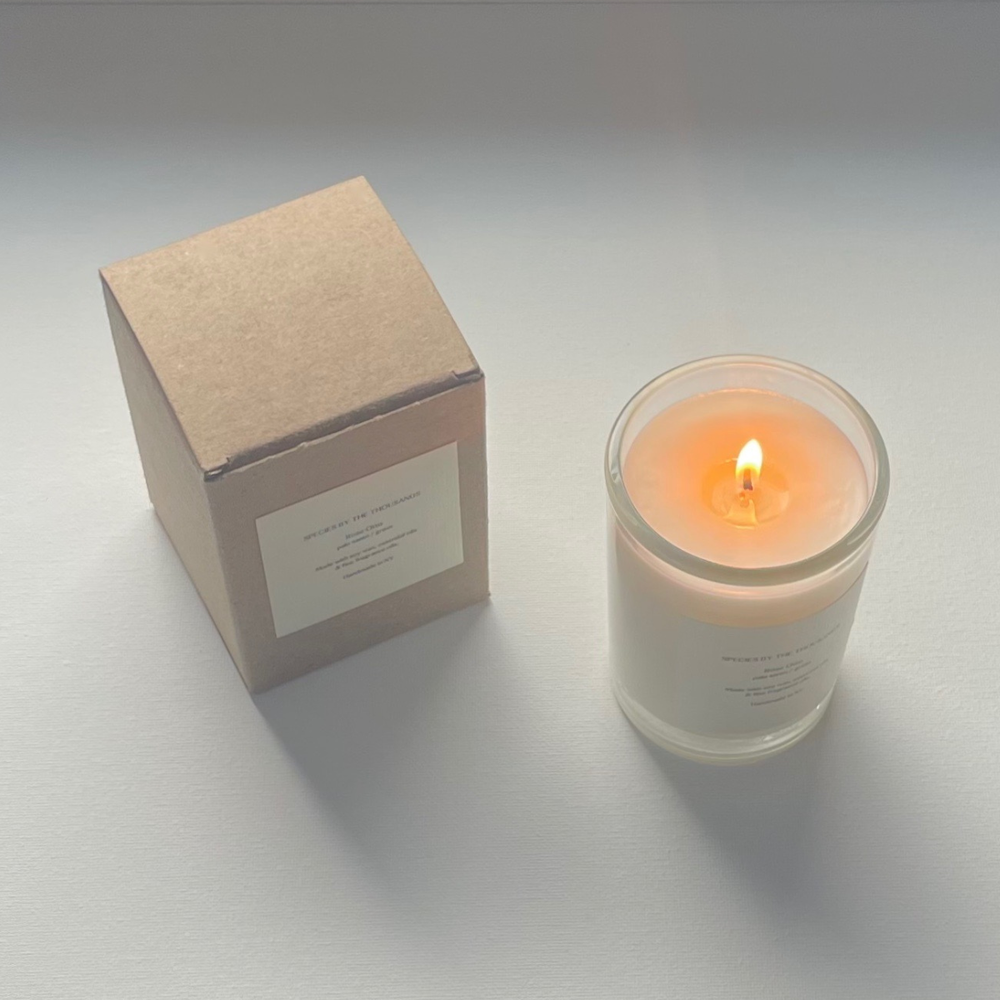 Handcrafted Scented Soy Candle: Violet, Smoke + Fig