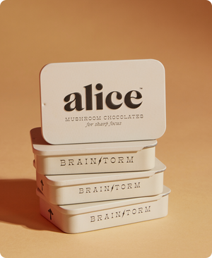 Brainstorm — Mushroom Chocolate