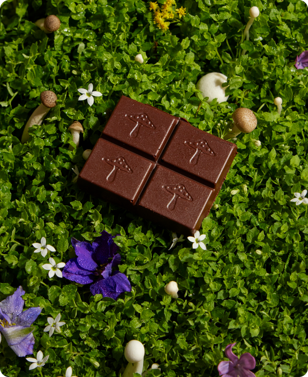 Nightcap — Mushroom Chocolate