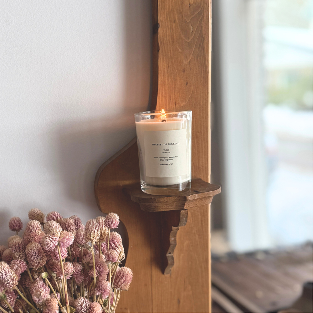 Handcrafted Scented Soy Candle: Violet, Smoke + Fig