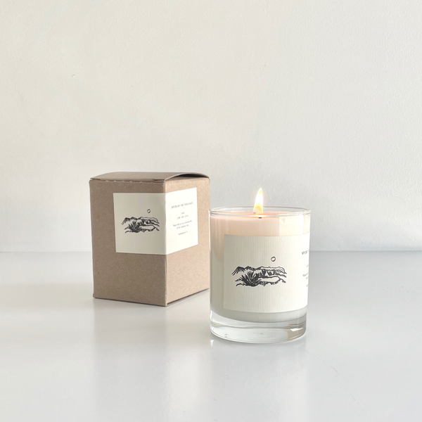 'Land' Soy Candle: Cedar, Sage, and Grass