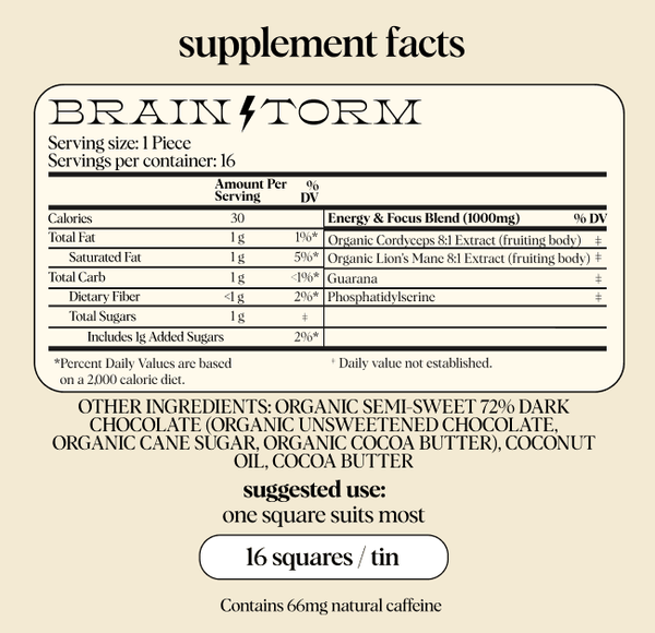 Brainstorm — Mushroom Chocolate