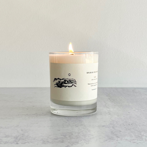 'Land' Soy Candle: Cedar, Sage, and Grass