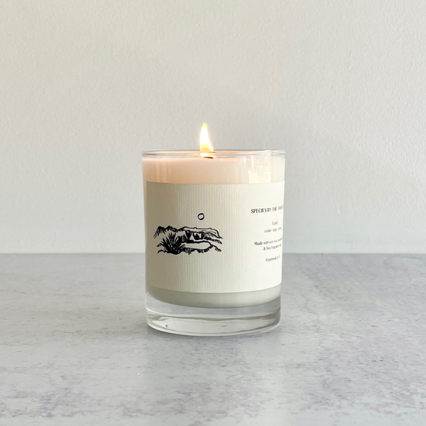 'Land' Soy Candle: Cedar, Sage, and Grass